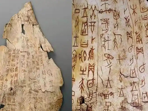 课程